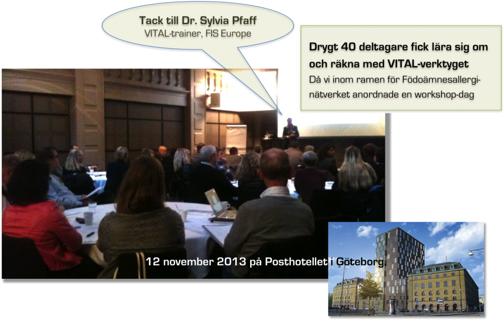 Bild VITAL-dag 2013 2
